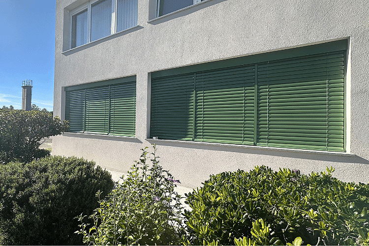 Drzna izbira: Zelena RAL 6011mat 